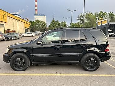 sprinter cdi: Mercedes-Benz ML-Class: 2002 г., Автомат, Кроссовер — 8