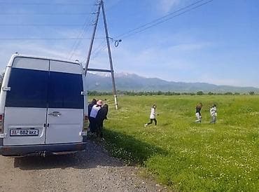 белая обувь: Пассажирские перевозки/аренда микроавтобуса Mercedes-Benz Sprinter. - — 4