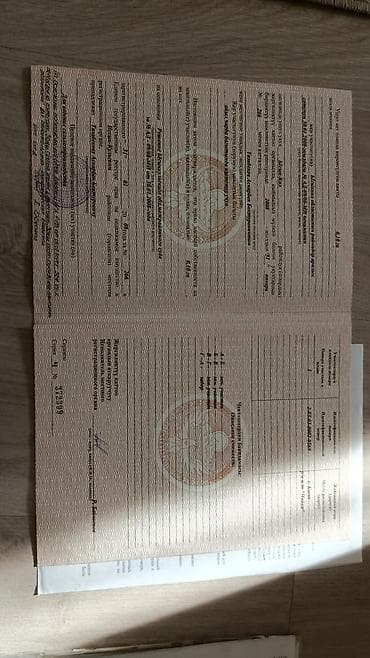 в бишкеке участок: 10 соток, Для сельского хозяйства, Красная книга — 5