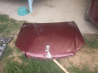 тепловизор купить бишкек: Капот Chevrolet — 2