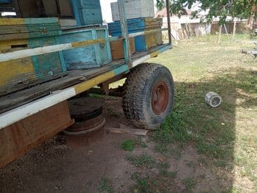 продажа домашних животных: Продаю пчелопавильон улики рассчитан на 40 -50 корп семей сделан — 4