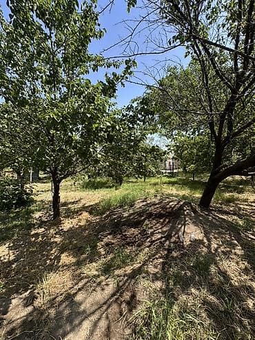 куплю дом кызыл суу: 📍 В Сокулуке от трассы 400 м продается дом на участке 14 соток, 55 — 3