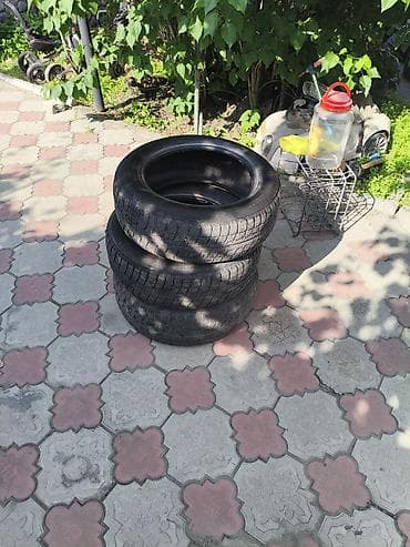 w210 55: Шины 205 / 55 / R 16, Зима, Комплект, Легковые, Continental — 1