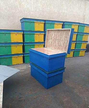 пчелка пила: Ящик — 5