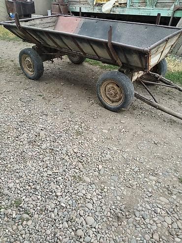 девушки талас: Продаю | Конь (самец) — 2