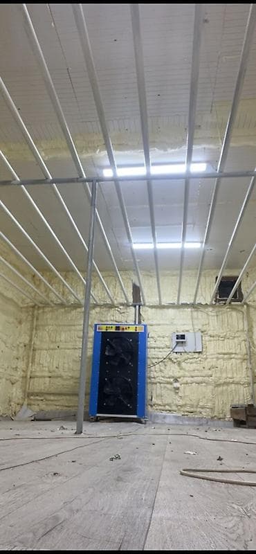 Клининг кызматтары: Килемдерди жуу, | Килем — 1