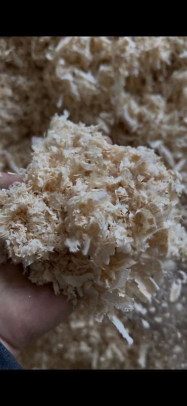 арзан тайлар: ОПИЛКА САТЫЛАТ СОСНА ТЕРЕК МДФ ДСП ДВП ТОПОЛЬ ЛЮБОЙ ОБЬЁМ МЕШОКТОП — 5