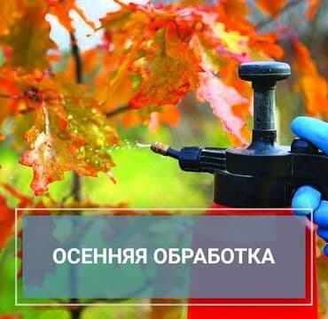 известково серный отвар: Обработка плодовых деревьев от бактериальных и грибковых заболеваний — 1