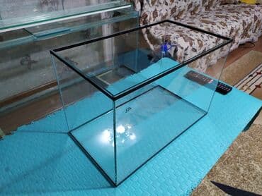 аквариумная рыбка: Аквариум 50 литров. Новый. Также есть другие варианты аквариумо. Всё — 3