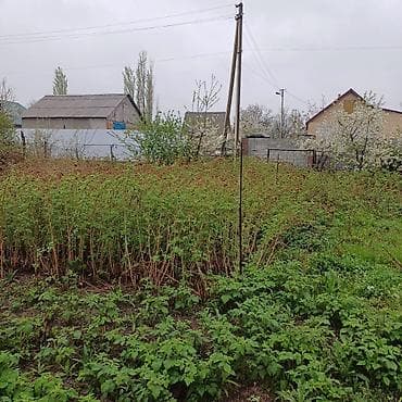 ак тилек ж м: 5 соток, Курулуш, Техпаспорт — 5