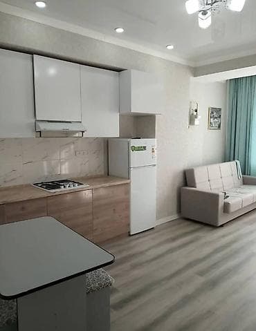 Студия, Риэлтор, Без подселения, С мебелью полностью