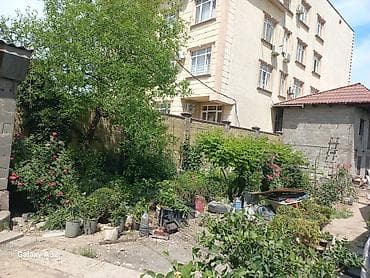 участок 3000: 613 соток, Для строительства, Тех паспорт, Красная книга — 1