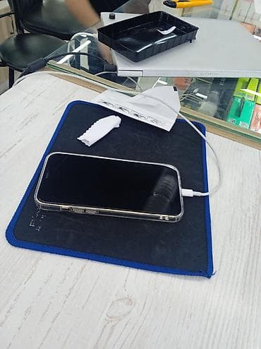 IPhone X, Чехол