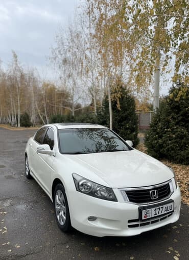 дом в колесах: Honda Accord: 2009 г., 3.5 л, Автомат, Бензиновая, Седан — 2