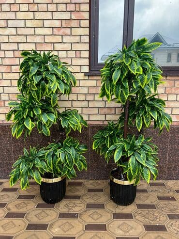 шкаф для одежды новый: 🌿 Мы — Mayram Decor KG, ваш надежный партнёр в создании эффектных и — 15