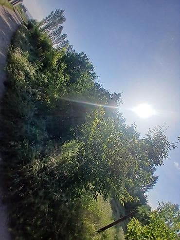 сдается комната аламедин 1: 8 соток — 4
