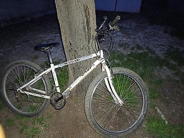 мустанг велик: Горный велосипед, Сталь — 1