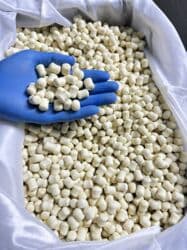 яйцо перепелы: Продаю курут оптом — 11