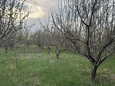 сдаю гараж бишкек: 🏠Продается 2-этажный дом под (ПСО) Площадь участка: 7 соток (по факту — 4