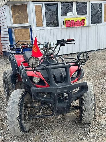 танк 500: Квадроцикл Бензин, 200 куб. см, Взрослый — 4