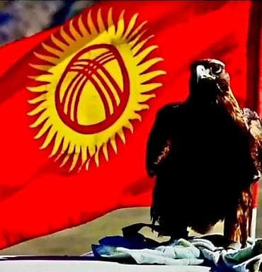 Флаг Кыргызстана — красное полотнище с жёлтым солнцем из 40 лучей и