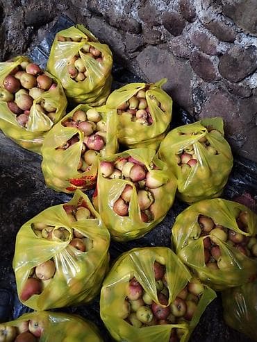 балык кумара: Яблоки Превосходное, Оптом — 2