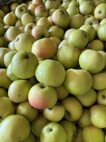 стеллажи для фруктов: Яблоки Оптом — 5