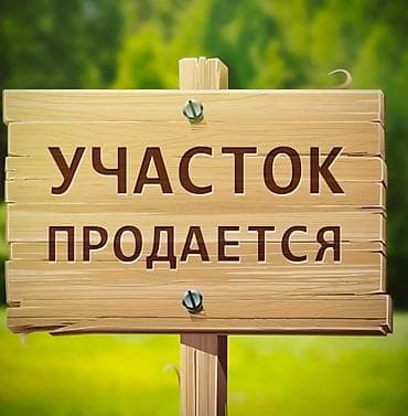 пруд токмок: 8 соток, Для бизнеса — 1