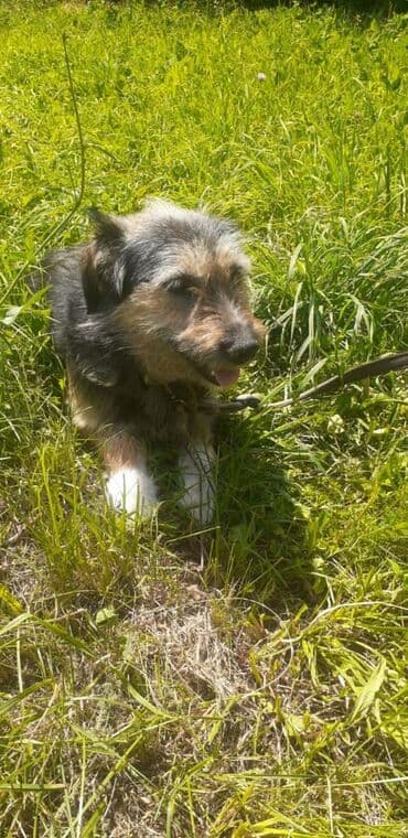 казакча той ырлары 2020 скачать: Чудесный мальчик Кузя ждёт своих мам и пап . Добрый активный мальчик — 2