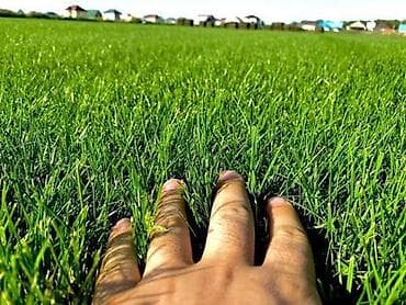 uakeen germany original: Искусственная газонная трава от 7 мм– идеальный зелёный уголок без — 2