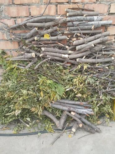 лес на дрова: Дрова Самовывоз — 5