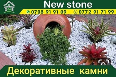Декор для дома и сада, Декоративные камни, Платная доставка