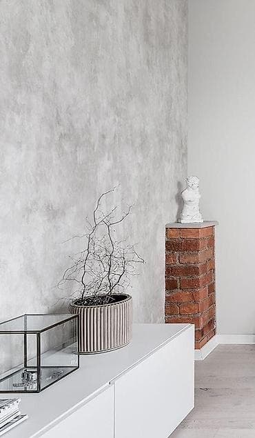 Үй жана бакча: Шыбак Минералдык — 7