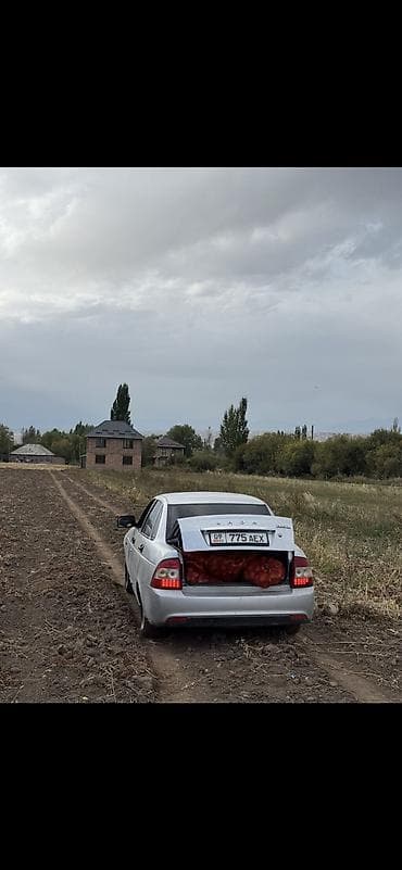 дамас 2: ВАЗ (ЛАДА) Priora: 2010 г., 1.6 л, Механика, Бензин, Седан — 3