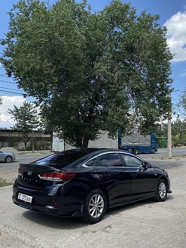 соната элф: Hyundai Sonata: 2019 г., 2 л, Автомат, Бензин, Седан — 4