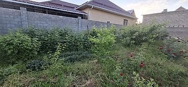 Дома: Двухэтажный жилой дом с участком 7 соток (село Кок-Жар, это редкость) — 4