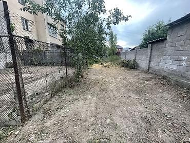 половой лес: Самовывоз — 6