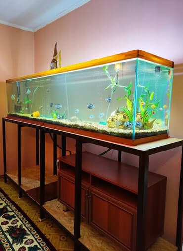 помпа для аквариума: СРОЧНО. торг есть. Продам аквариум 2.5 метр длина, полный комплект — 1