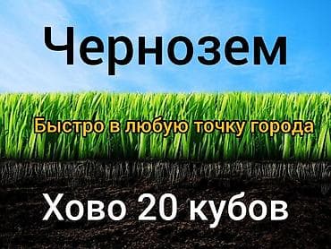 Хово at lalafo.kg Хово