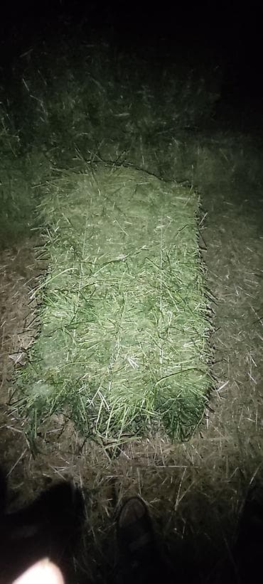 рисовая отруби: Тюки первый укос — 1