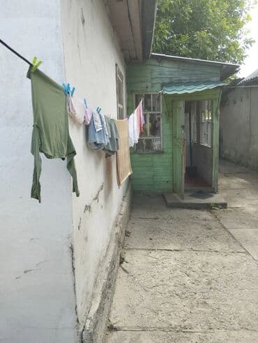 дом кайынды: 3 соток, Кызыл китеп — 6