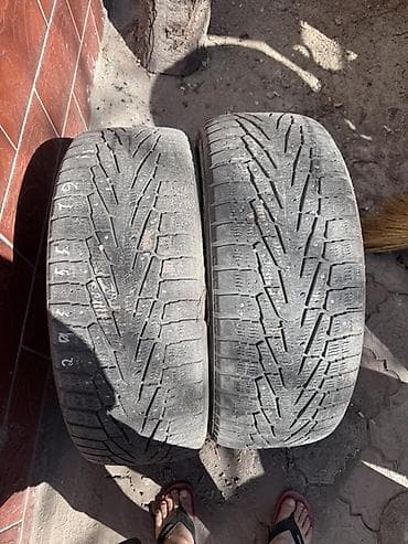Пара автомобильных шин 245/55 R19 107T. Характеристики: - Размер