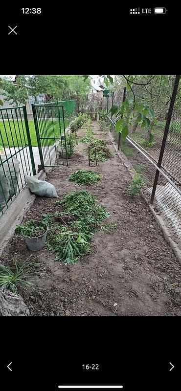 Работа: 🌱Я Садовник Генеральный уборка сада Сеем газон под ключ Посев газон — 7