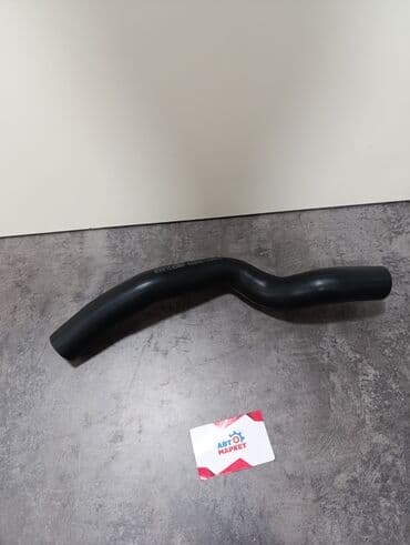 блок предохранителей: Патрубок нижний (AMCFILEER) Модель: NISS X-Trail MR20DE T31 — 1