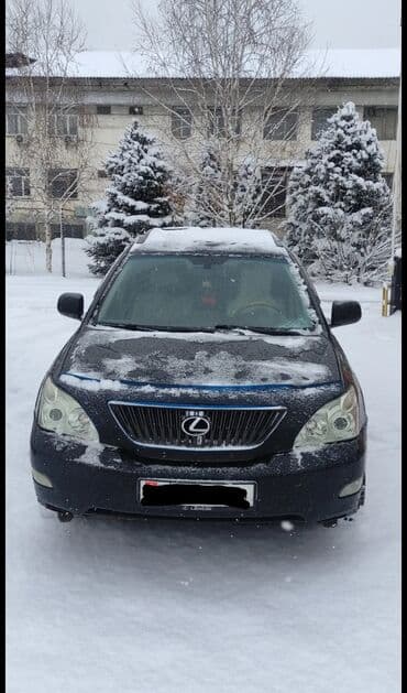 Lexus RX: 2004 г., 3.3 л, Типтроник, Бензин, Кроссовер