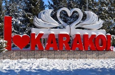 продаю дом токольдош: 2 комнаты, 60 м², 106 серия, 3 этаж, Евроремонт — 1