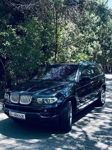 фит багаж: BMW X5: 2005 г., 3 л, Автомат, Дизель, Кроссовер — 2