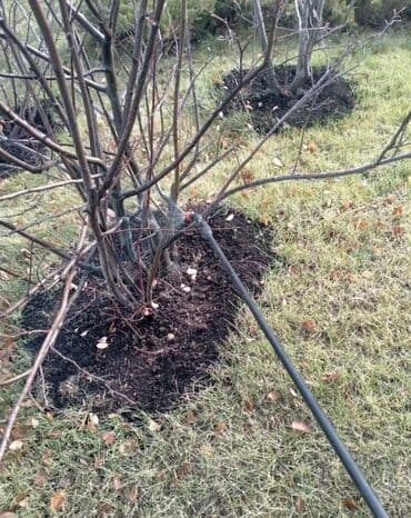 прайс лист на строительные работы бишкек: Садовник! Готовим Сад к Зиме! Обработка Сада! Осенняя обрезка и — 5