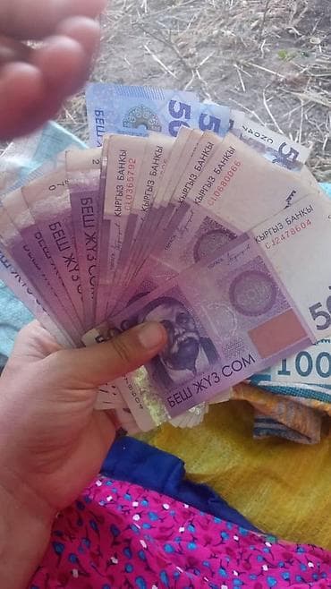 Подборка банкнот Киргизской Республики (сом): - Номиналы на фото: 500 at lalafo.kg Подборка банкнот Киргизской Республики (сом): - Номиналы на фото: 500
