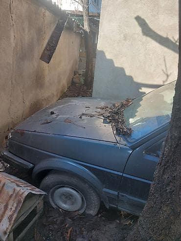 Volkswagen: Volkswagen Golf: 1988 г., 1.6 л, Механика, Дизель, Хэтчбэк — 2